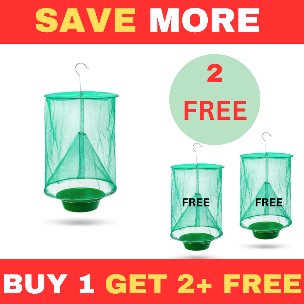 OFFER BUY 1 & GET 2+ FREE FLY TRAP CATCHER (3 PCS)